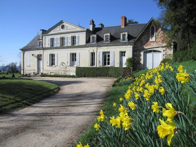 Chambres D'Hotes Le Chateau De La Plante Thuré Eksteriør billede